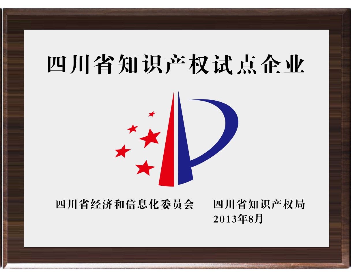 Sichuan Province Intellectual Property Pilot Enterprise.jpg