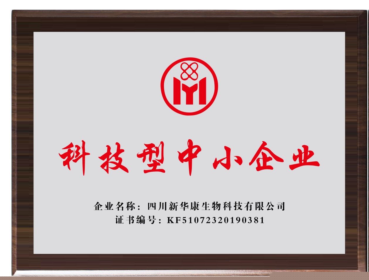 科技型中小企业.jpg